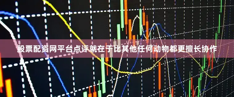 股票配资网平台点评就在于比其他任何动物都更擅长协作