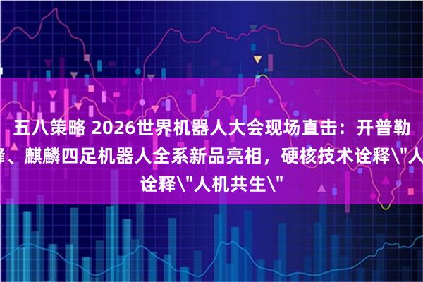 五八策略 2026世界机器人大会现场直击：开普勒K3大黄蜂、麒麟四足机器人全系新品亮相，硬核技术诠释
