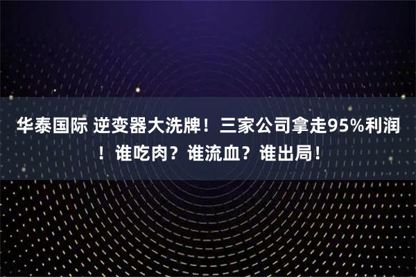 华泰国际 逆变器大洗牌！三家公司拿走95%利润！谁吃肉？谁流血？谁出局！