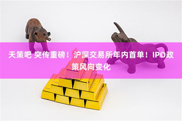 天策吧 突传重磅！沪深交易所年内首单！IPO政策风向变化